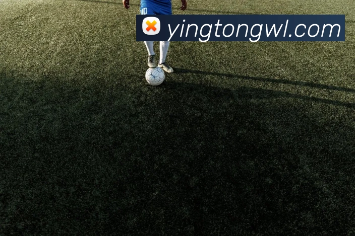 奖项2